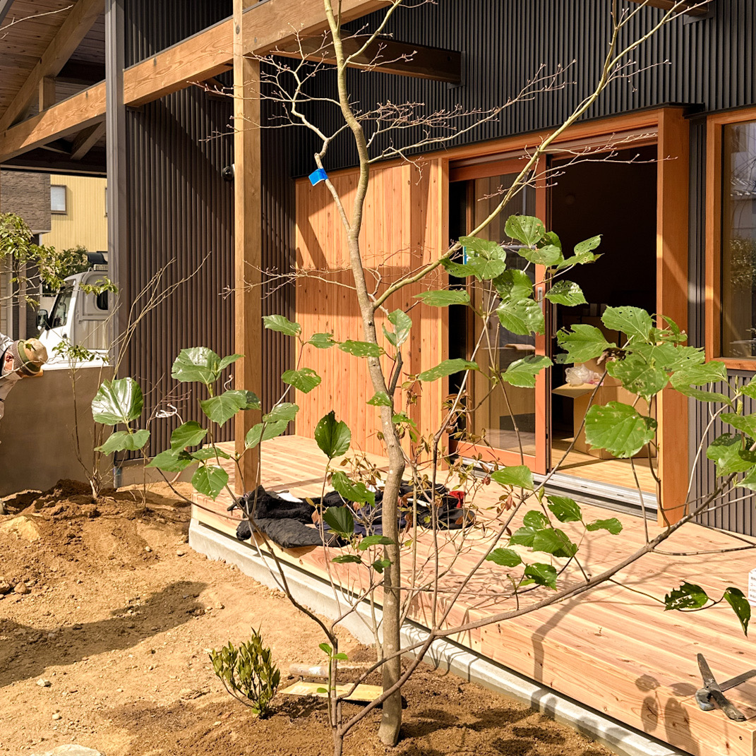 植栽ワークショップ